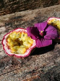 High angle view of pink flower on wood