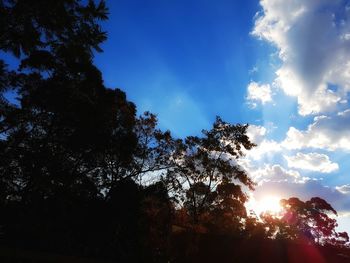 Low angle view of silhouette trees against sky