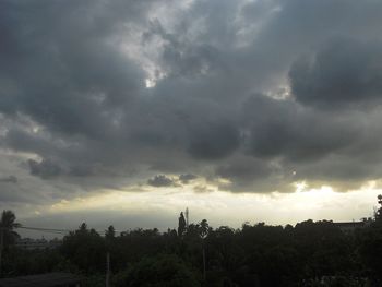 Silhouette of trees against dramatic sky