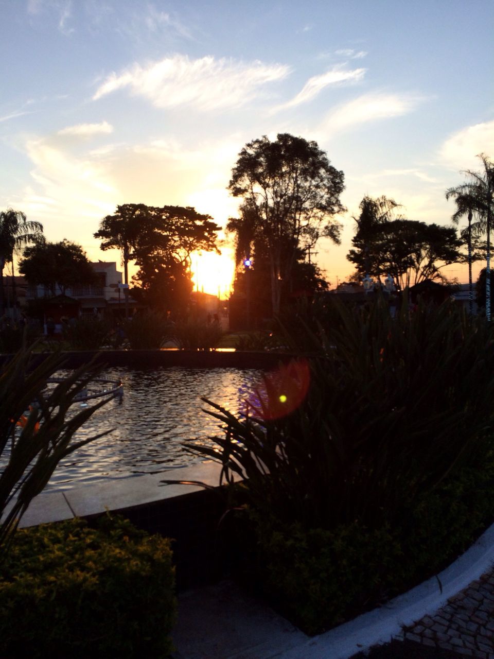 sunset, tree, palm tree, water, sky, sun, tranquility, beauty in nature, tranquil scene, sunlight, orange color, scenics, silhouette, nature, building exterior, reflection, cloud - sky, growth, built structure, sea