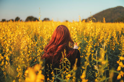 Scenic view of agricultural field