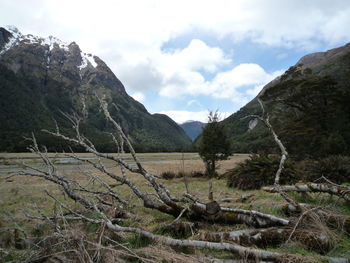 Scenic view of landscape against sky