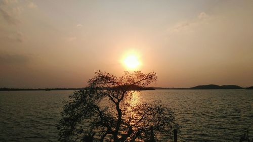 Silhouette tree by dam against sky during sunset