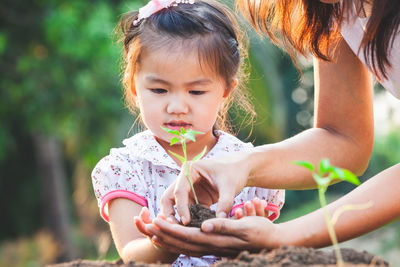 Midsection of mother adjusting sapling on daughter hand