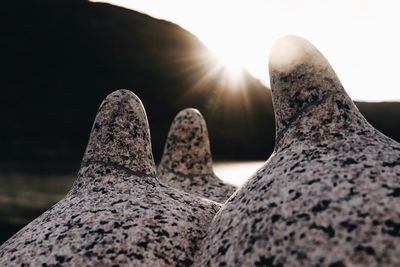 Low section of person on rock against sky