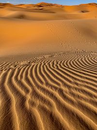 Scenic view of sand dunes in desert