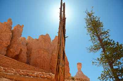 Low angle view of trees and rock formations against sky at bryce canyon national park