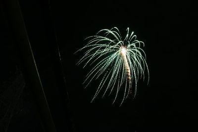 Low angle view of firework display at night