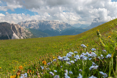 Scenic view of grassy field against cloudy sky