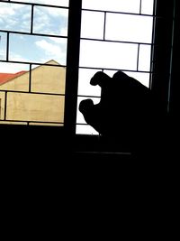 Silhouette cat looking through window