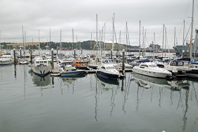 Sailboats moored in marina