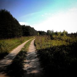 the way forward