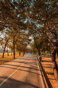 Road amidst trees in park during autumn