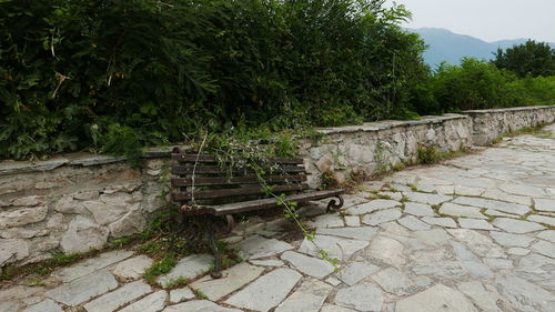 Steps by trees against sky