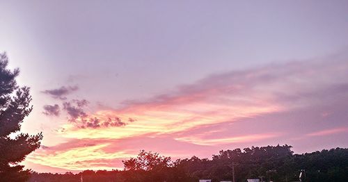 Low angle view of silhouette trees against sky during sunset