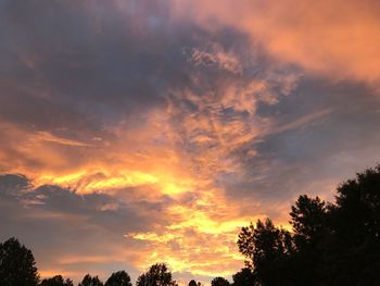 Low angle view of silhouette trees against sky at sunset