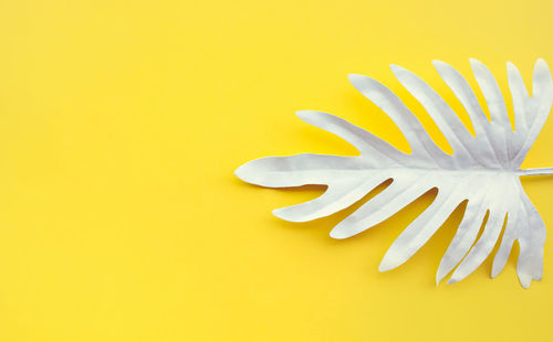 High angle view of lemon on table against yellow background