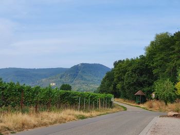 Road amidst trees against sky