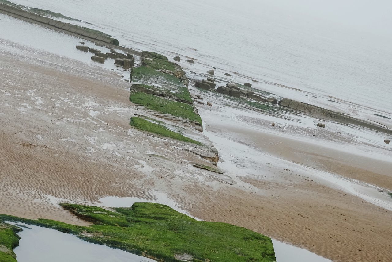 water, beach, sea, sand, shore, tranquility, tranquil scene, nature, scenics, beauty in nature, horizon over water, high angle view, coastline, tree, day, idyllic, outdoors, growth, plant, sky