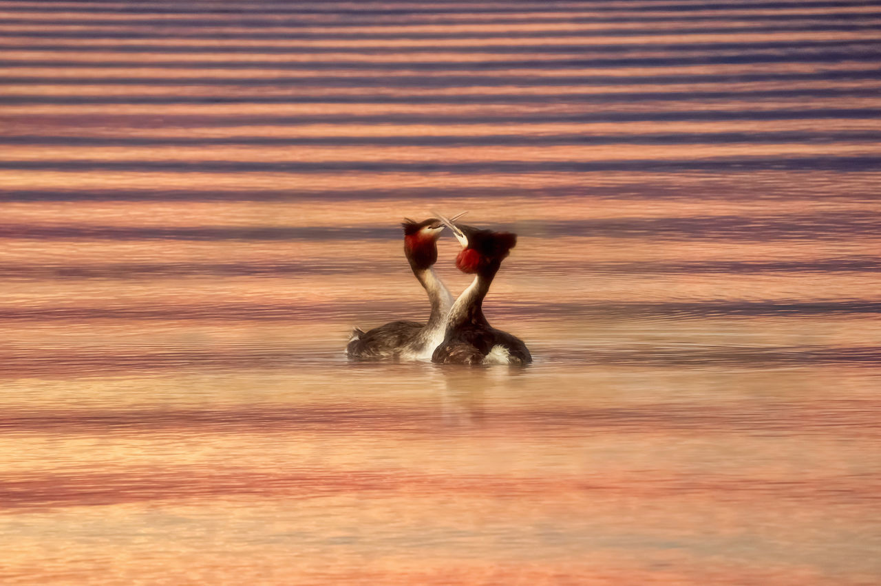 FULL LENGTH OF WOMAN ON SEA SHORE AGAINST SKY