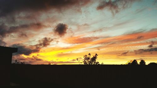 Silhouette of trees at sunset