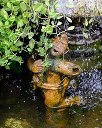 High angle view of turtle in lake