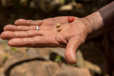 Cropped hand of man holding food in hand