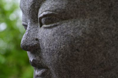 Close-up of statue outdoors