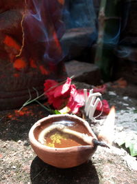 High angle view of roses on plant