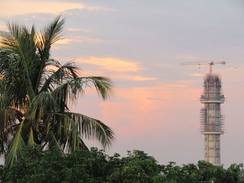 Palm trees and buildings against sky during sunset