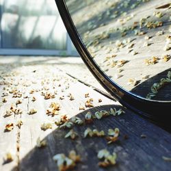 Close-up of dry leaves on table