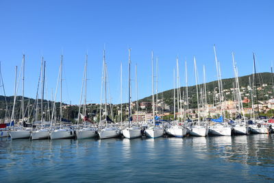 Sailboats moored in harbor