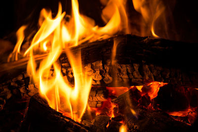 Close-up of bonfire at night