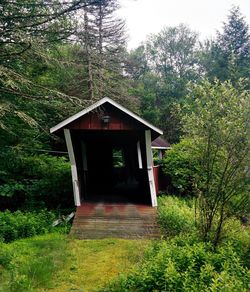 House with trees in background