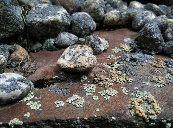 Close-up of stones on stone wall