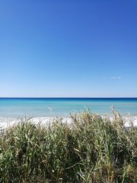 Scenic view of sea against clear blue sky