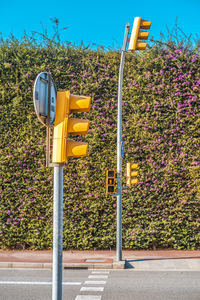 Traffic light in a street in the city of barcelona