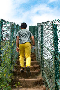 Rear view of man standing in park