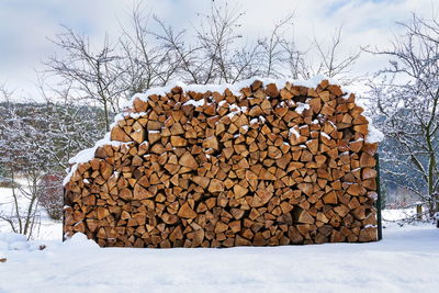 Stack of logs in forest during winter