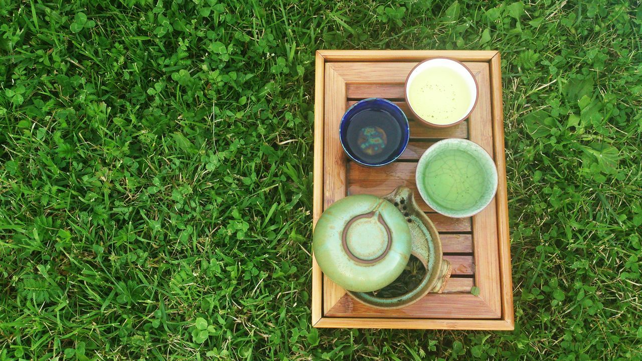 grass, green color, high angle view, still life, food and drink, field, table, directly above, food, no people, freshness, healthy eating, wood - material, grassy, close-up, growth, day, number, green, circle