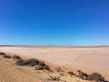land