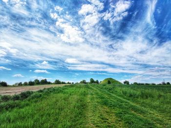 Scenic view of field against sky