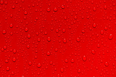 Full frame shot of wet red water