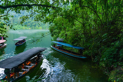 High angle view of river amidst trees in forest