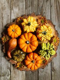 Directly above shot of various squashes with gazania flowers on wooden table