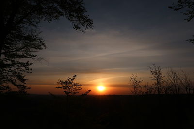 Silhouette trees against sky during sunset