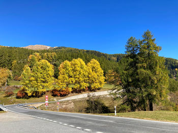 Road amidst trees against clear blue sky