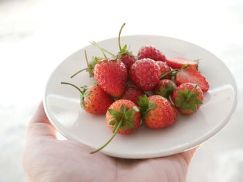 Close-up of hand holding strawberries