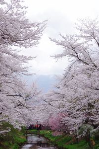 Low angle view of man on mountain against sky