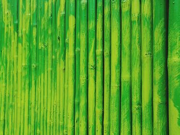 Full frame shot of green leaves